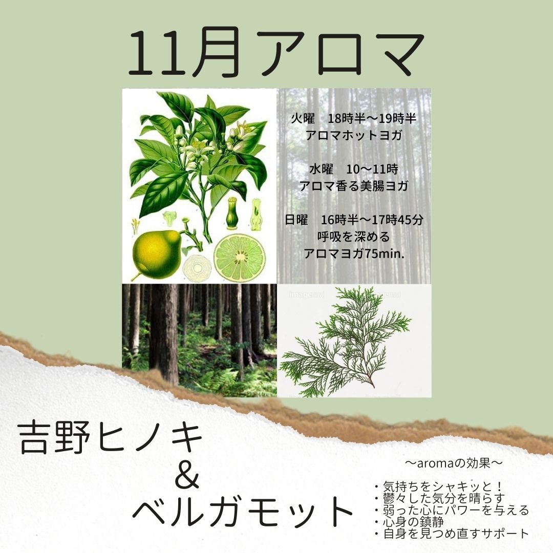 11月アロマヨガの香りをご紹介 ヨガ会員の皆さんこんにちは ワンフィットのしほりです さて 今月の月替わりアロマのご紹介です 11月は 続きを読む 11月アロマヨガの香りをご紹介 東大阪 布施 ワンフィット24